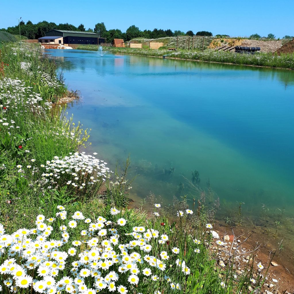 Performance lake