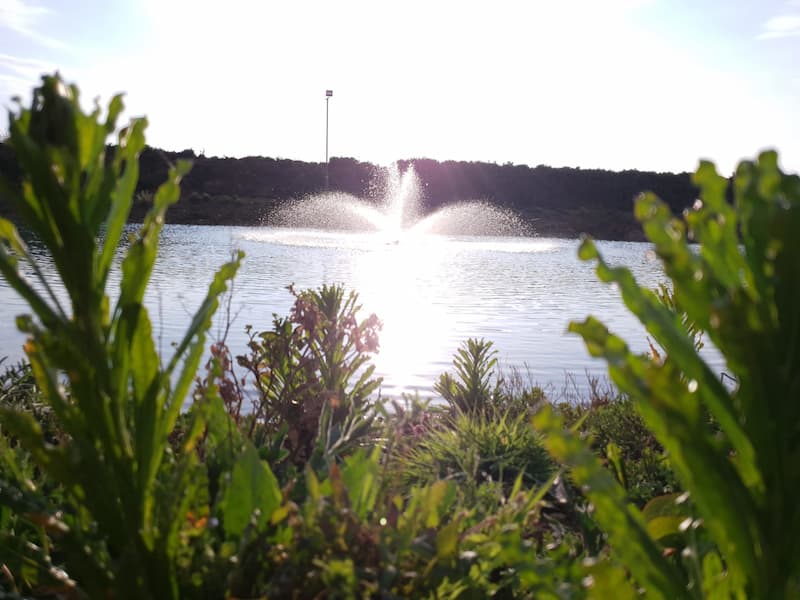 Outdoor swimming lake and fountain