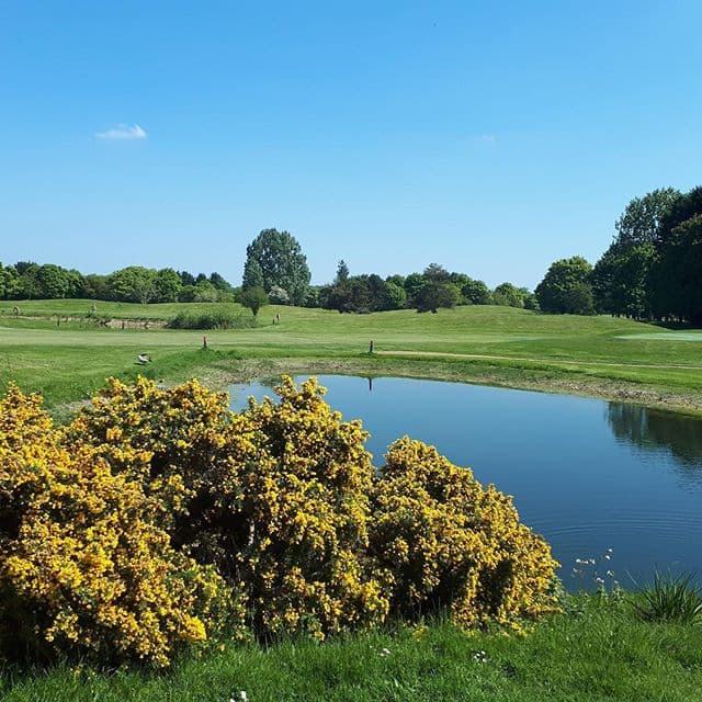Golf course and lake